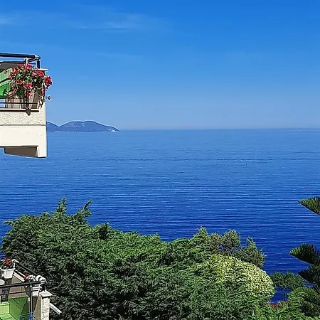 Daire Apartament
